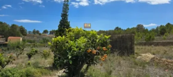 Terrain à La Nucia, Spain 300m² No. 42091 9