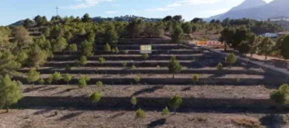 Terrain à La Nucia, Spain 300m² No. 42091 14