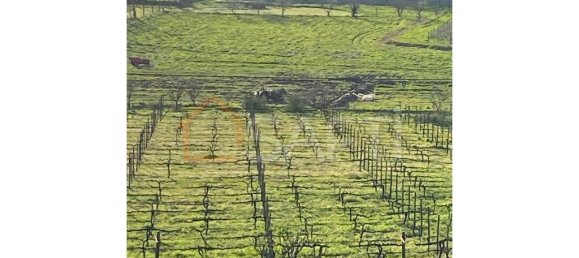 5 غرف نوم منزل في Lousada, Portugal رقم 128576 29