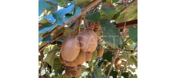 5 غرف نوم منزل في Lousada, Portugal رقم 128576 17