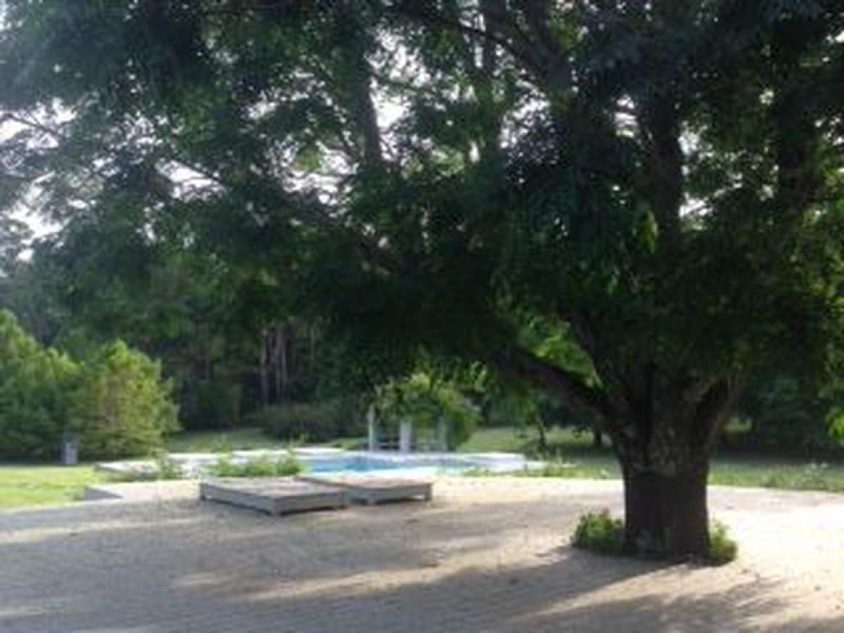 4 bedrooms House in Maldonado, Uruguay No. 10290