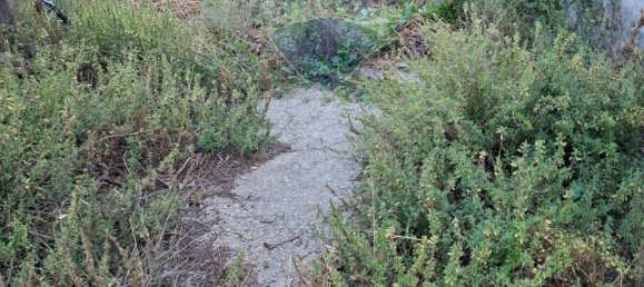 Дом с 3 спальнями в Мильянико, Италия № 347984 3