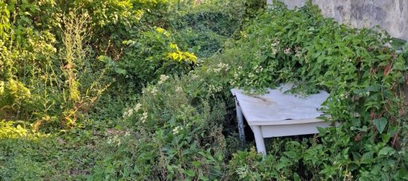 Дом с 3 спальнями в Мильянико, Италия № 347984 4