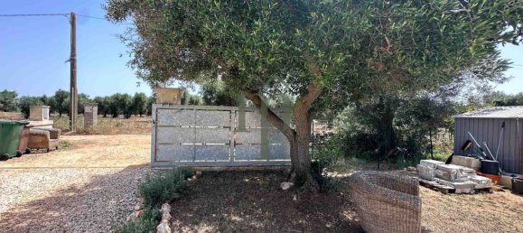 3 rooms Villa in Carovigno, Italy No. 19365 6