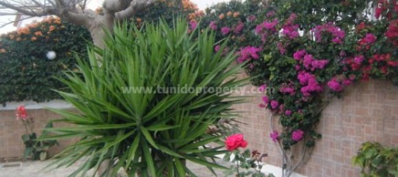 3 bedrooms Villa in Valle de San Lorenzo, Spain No. 712 3