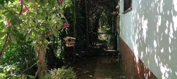 Terrain à Pinneberg, Germany No. 284104 3