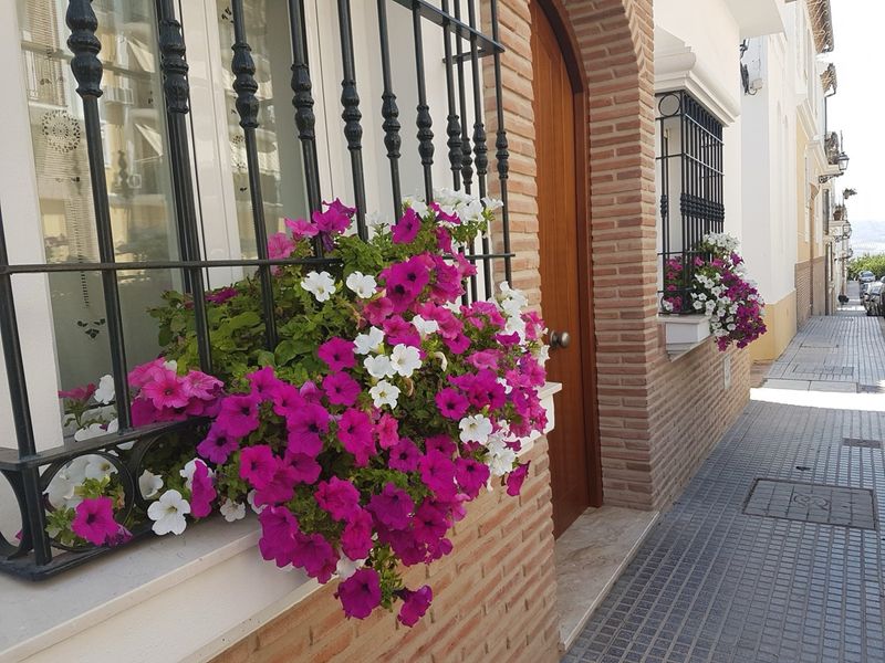 Casa T4 em Archidona, Spain N.º 228201