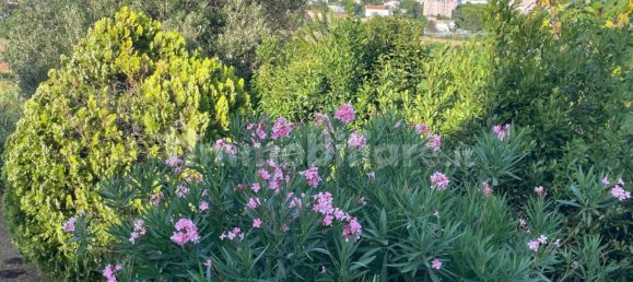 4 chambres Villa à Numana, Italy No. 106566 27