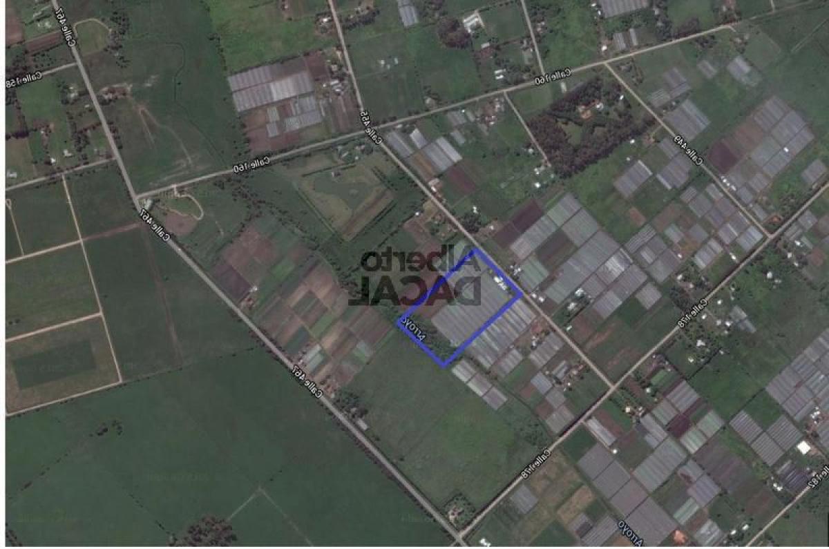  Land in Campo Creado, Argentina No. 36569