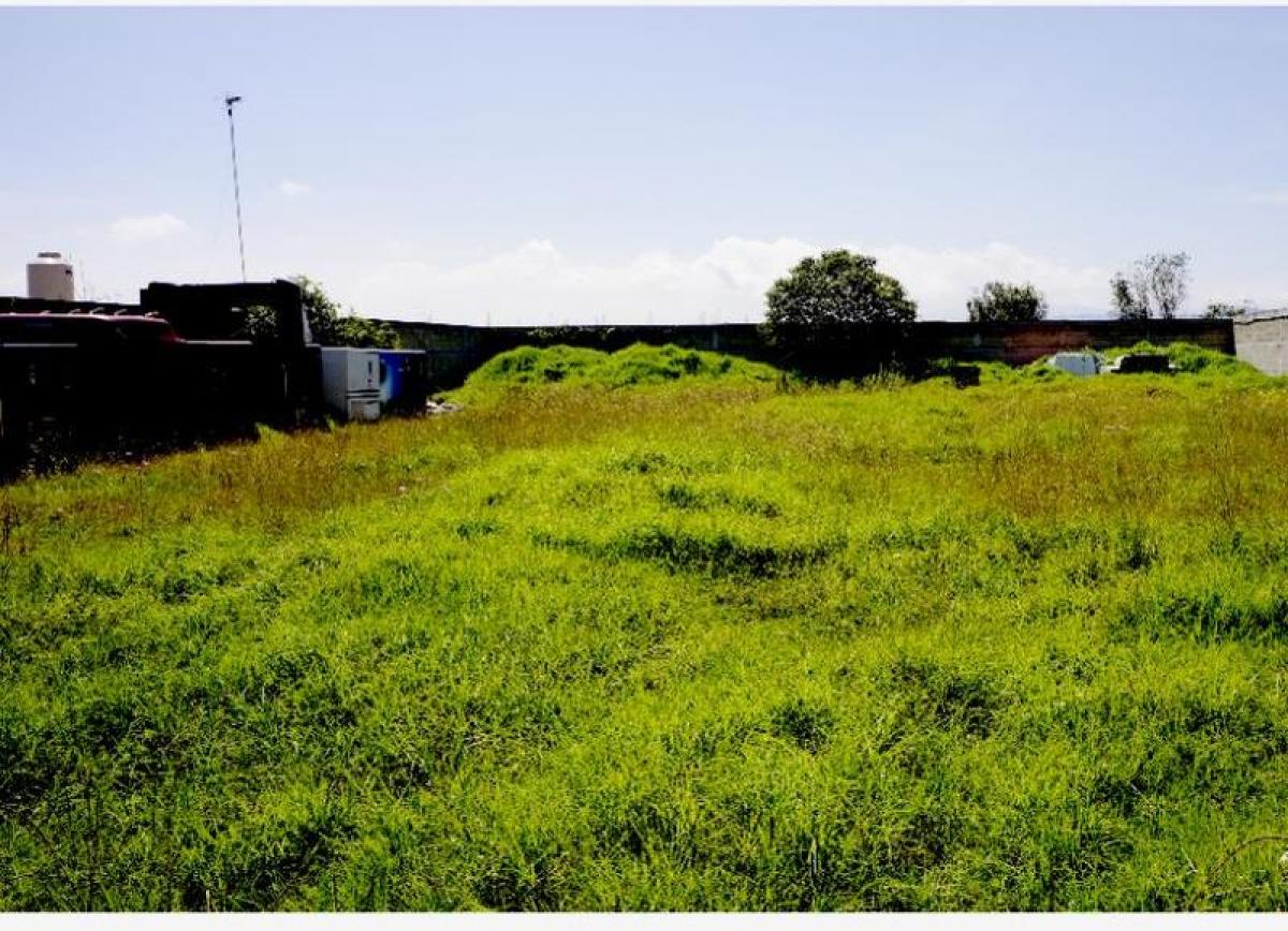 Terreno em Polotitlan de la Ilustracion, Mexico N.º 203261