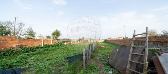 2 bedrooms House in Oliveirinha, Portugal No. 48493 15