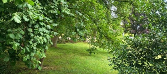 1 chambre Bungalow à Cuxhaven, Germany No. 224798 18