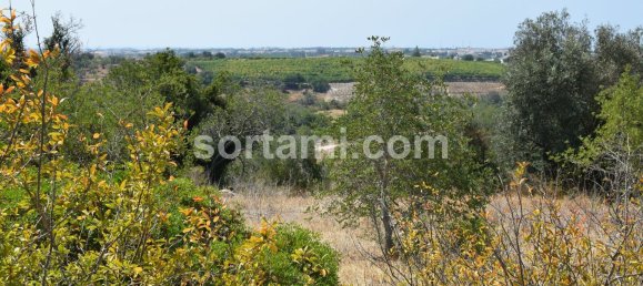 Terreno en Ferreiras, Portugal 76000 m² No. 120540 11