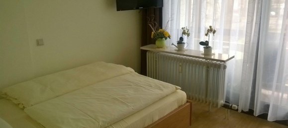 Studio in Passau, Germany, Nr. 218433 3