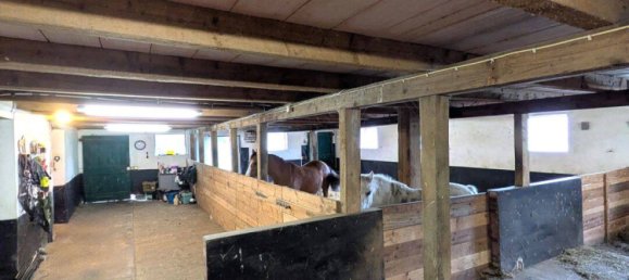 2 bedrooms Farm in Aurich, Germany No. 292744 38