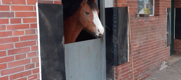 2 bedrooms Farm in Aurich, Germany No. 292744 42