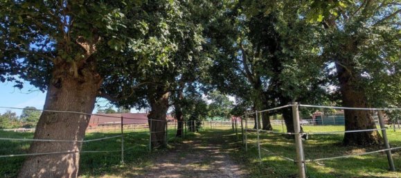 2 bedrooms Farm in Aurich, Germany No. 292744 48