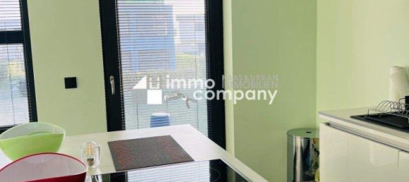 10 rooms House in Glinzendorf, Austria No. 18487 5