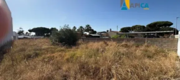 Terrain à La Barrosa, Spain No. 170653 4