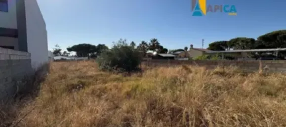 Terrain à La Barrosa, Spain No. 170653 2