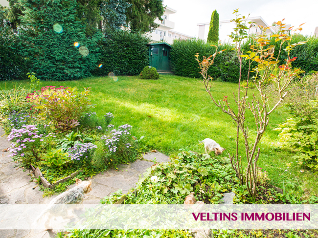 Terrain à Hochtaunuskreis, Germany No. 34593