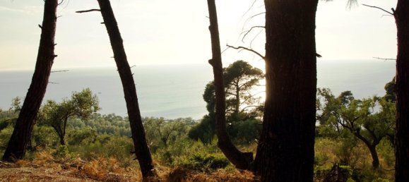 Hotel em Chalkidiki, Greece 7700 m² N.º 7529 2