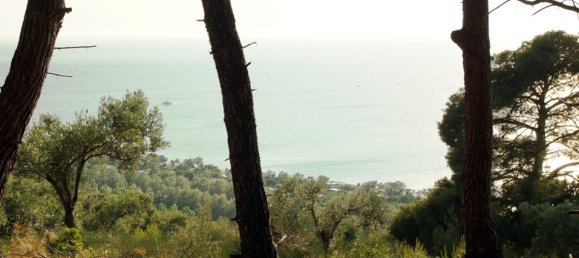 7700m² Hotel in Chalkidiki, Greece No. 7529 4