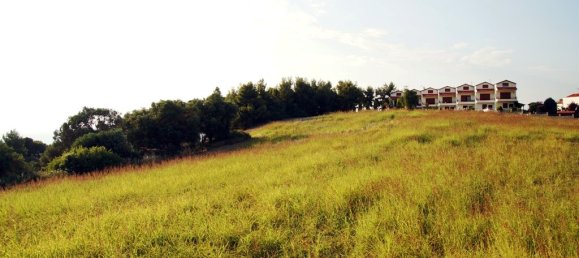 7700m² Hotel in Chalkidiki, Greece No. 7529 9