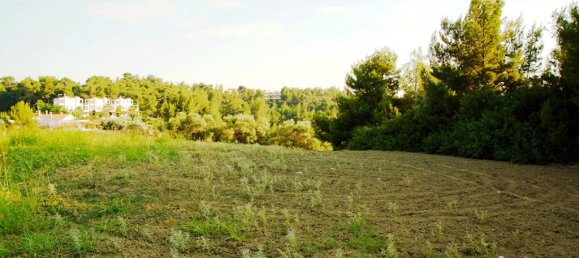 7700m² Hotel in Chalkidiki, Greece No. 7529 8