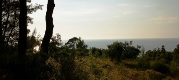 7700m² Hotel in Chalkidiki, Greece No. 7529 5