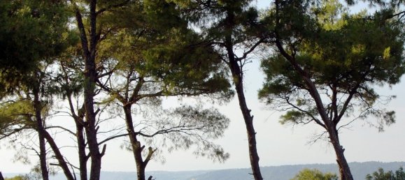 7700m² Hotel in Chalkidiki, Greece No. 7529 3