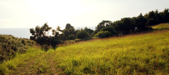 7700m² Hotel in Chalkidiki, Greece No. 7529 6