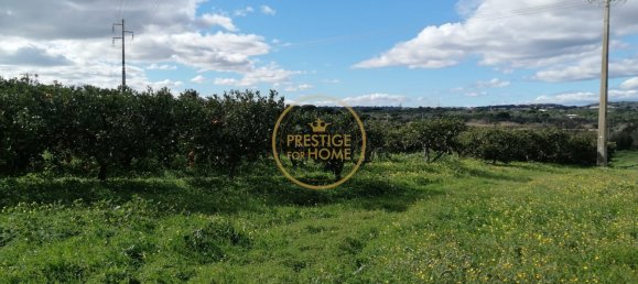 Grundstück in Loule, Portugal 4280m², Nr. 243352 10