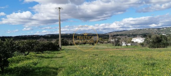 Grundstück in Loule, Portugal 4280m², Nr. 243352 14