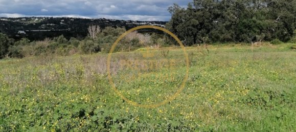 Grundstück in Loule, Portugal 4280m², Nr. 243352 4