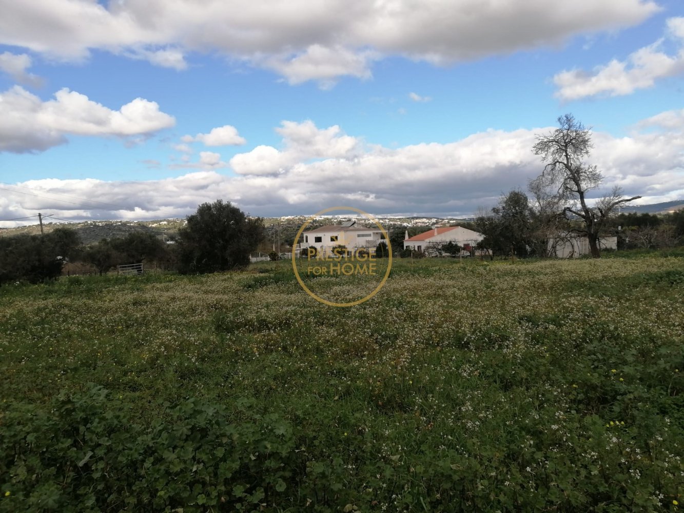 Grundstück in Loule, Portugal 4280m², Nr. 243352