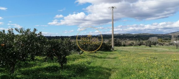 Grundstück in Loule, Portugal 4280m², Nr. 243352 3