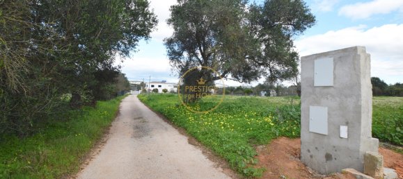 Grundstück in Loule, Portugal 4280m², Nr. 243352 7