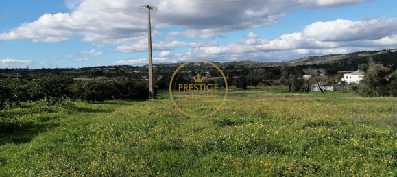 Grundstück in Loule, Portugal 4280m², Nr. 243352 12