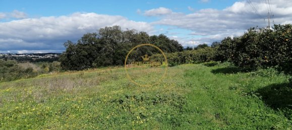 Grundstück in Loule, Portugal 4280m², Nr. 243352 13