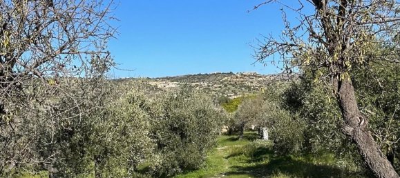 5غرفة منزل في Noto, Italy رقم 291539 7