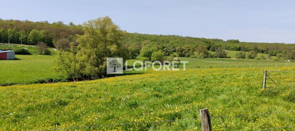 Edificio de 10 dormitorios en Dolving, France No. 64082 15