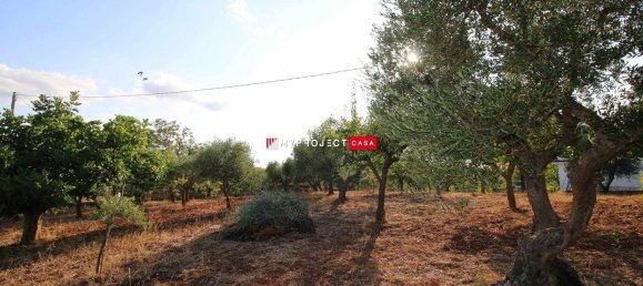 4 غرف نوم فيلا في Martina Franca, Italy رقم 325612 15