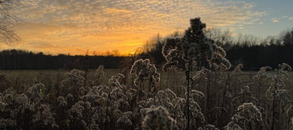 Casa de 2 dormitorios en Oberhavel, Germany No. 98076 8