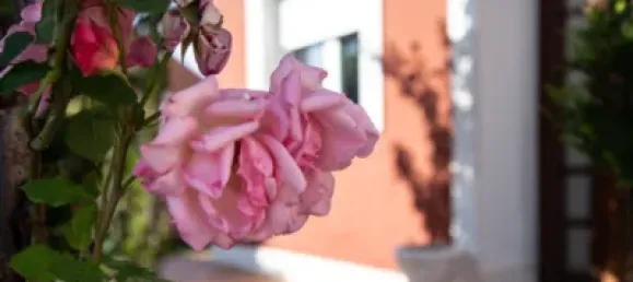 Casa T3 em Dehesas, Spain N.º 86655 20