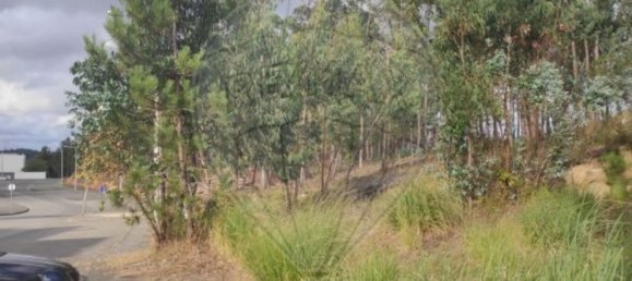 374m² Land in Leiria, Portugal No. 74405 3