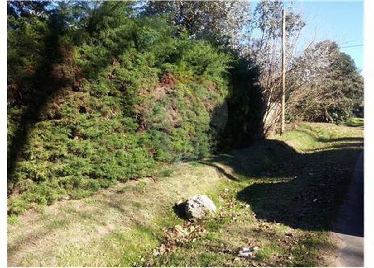  Land in Campo Creado, Argentina No. 40116