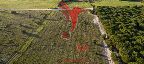 42000m² Land in Sines, Portugal No. 96860 5