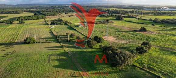 42000m² Land in Sines, Portugal No. 96860 12