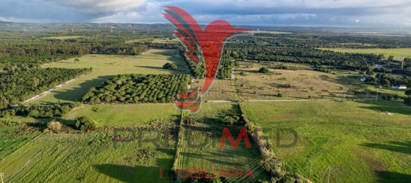 42000m² Land in Sines, Portugal No. 96860 14